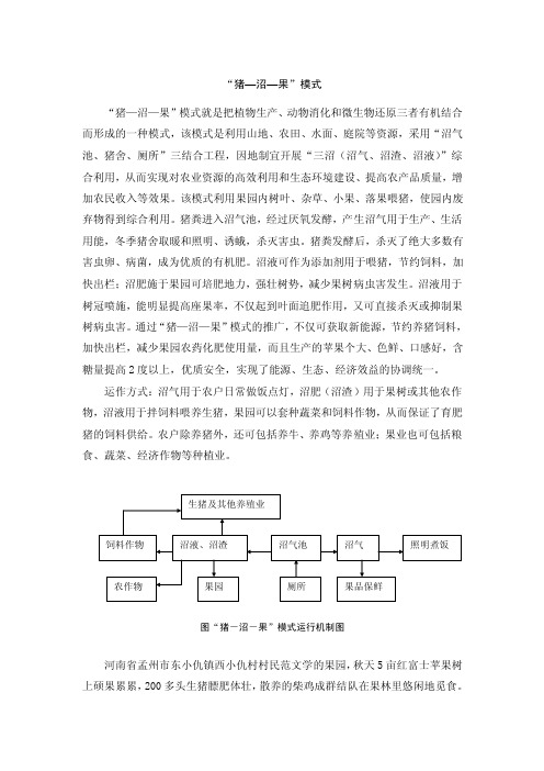 猪沼果模式——精选推荐