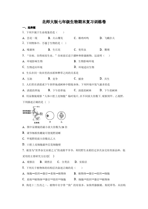 北师大版七年级上册生物期末复习训练卷（word版含答案）