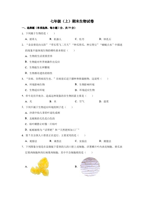 北师大版七年级生物上册期末考试卷(含答案) (13)