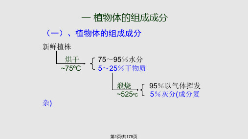 养分的吸收PPT课件