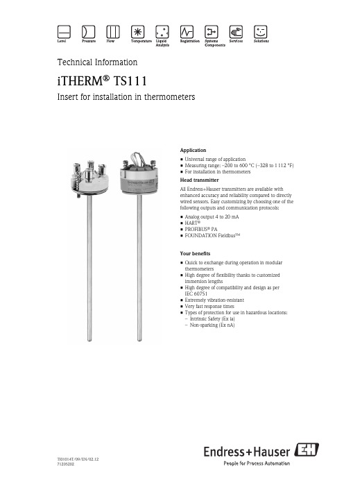 Endress+Hauser iTHERM TS111 温度传感器说明书