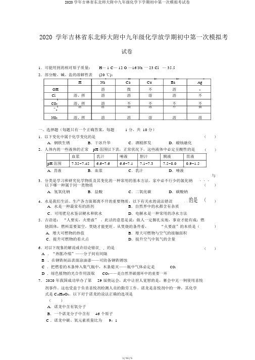 2020学年吉林省东北师大附中九年级化学下学期初中第一次模拟考试卷