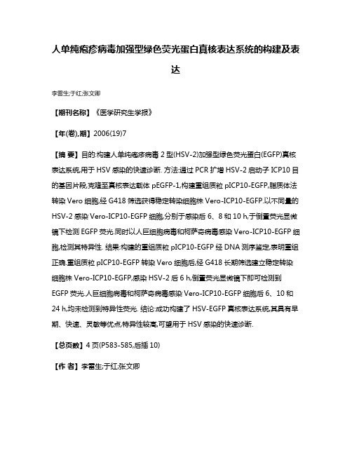 人单纯疱疹病毒加强型绿色荧光蛋白真核表达系统的构建及表达