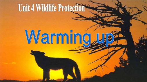 高中英语Book 2 Unit 4 Wildlife Protection warming up and reading