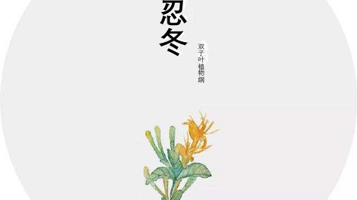 植物学忍冬科ppt