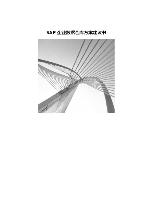 SAP企业数据仓库方案建议书