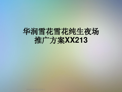 华润雪花雪花纯生夜场推广方案XX213