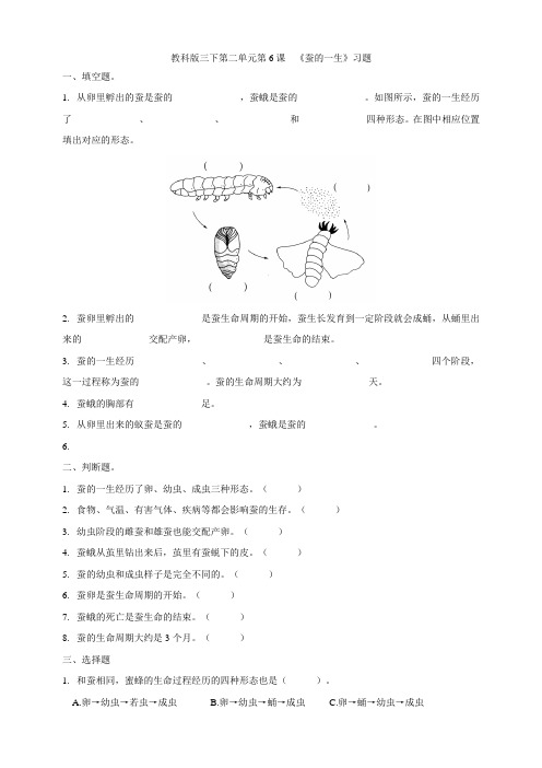 【新教材】(教科版)小学科学三年级下册第二单元第6课《蚕的一生》习题