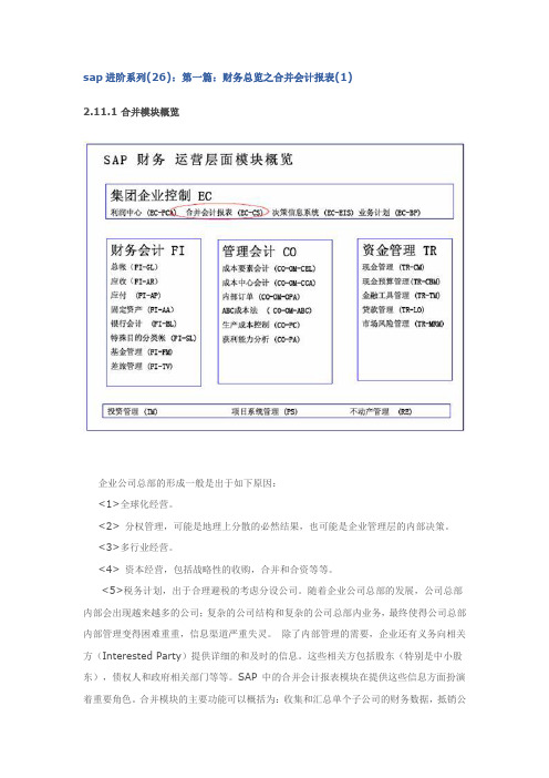 SAP进阶10-财务总览之合并报表