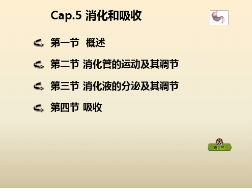 动物生理学Cap5消化生理