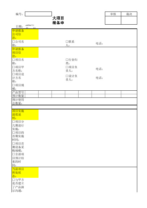 大项目报备表
