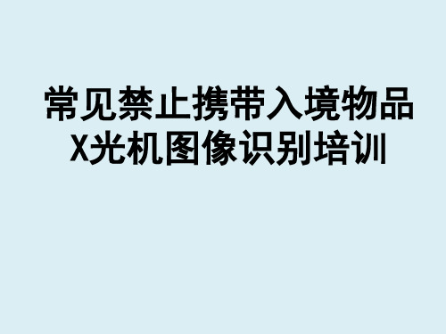 常见禁止携带入境物品的X光机图像识别培训