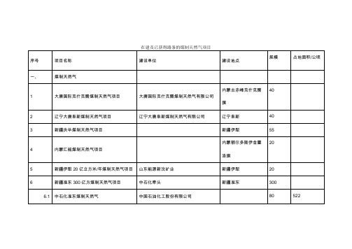 煤制天然气项目统计