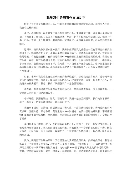 我学习中的烁石作文350字