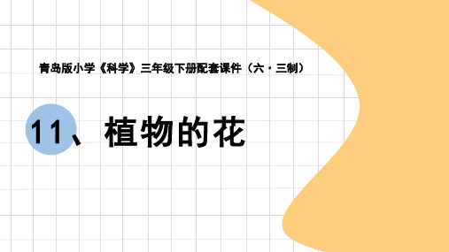 青岛版《科学》六制三年级下册第四单元《植物的繁殖》电子课件