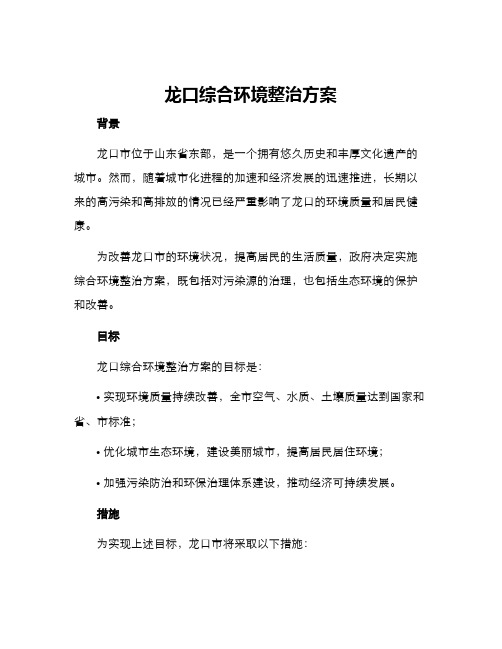 龙口综合环境整治方案