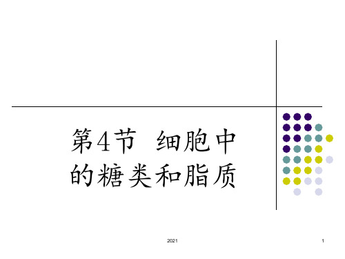 第四节-糖类和脂质PPT课件