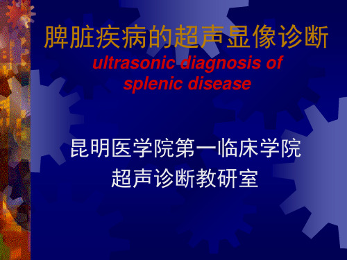 脾脏疾病的超声诊断