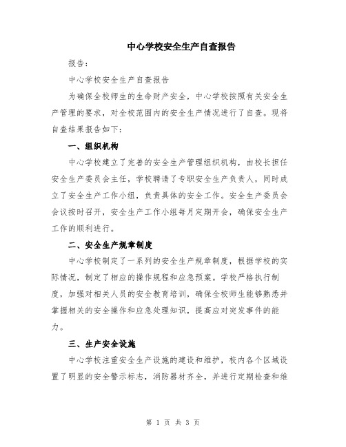 中心学校安全生产自查报告