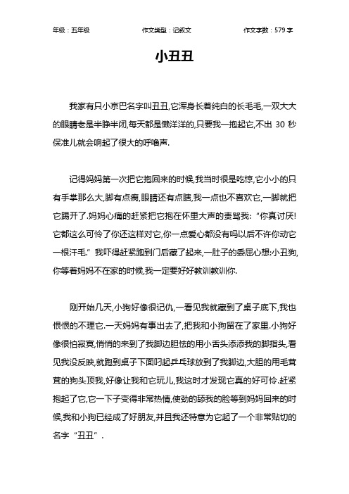 小丑丑作文【小学五年级600字】