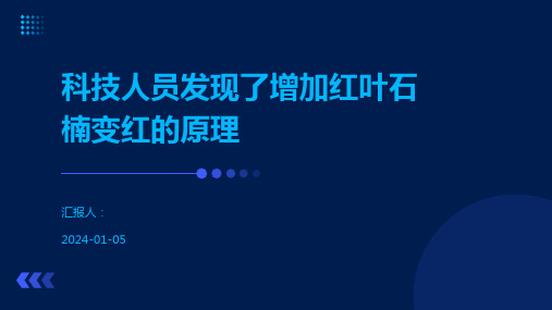 科技人员发现了增加红叶石楠变红的原理