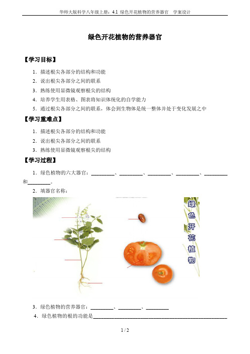 华师大版科学八年级上册：4.1 绿色开花植物的营养器官  学案设计