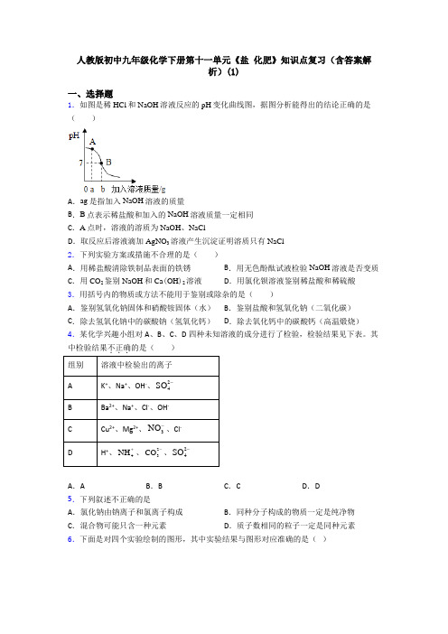 人教版初中九年级化学下册第十一单元《盐 化肥》知识点复习(含答案解析)(1)