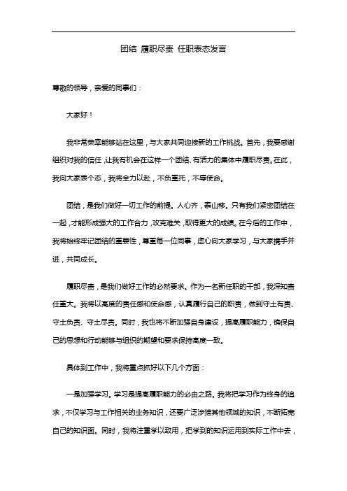 团结 履职尽责 任职表态发言