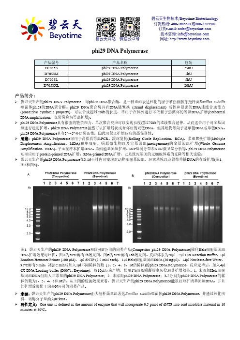 phi29 DNA Polymerase产品说明书