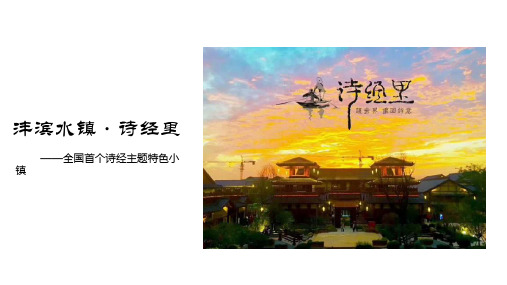 “诗经里”项目简析