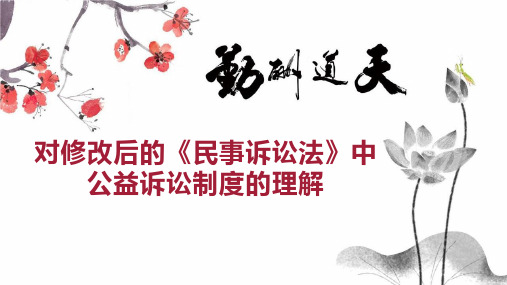 对修改后的《民事诉讼法》中公益诉讼制度的理解