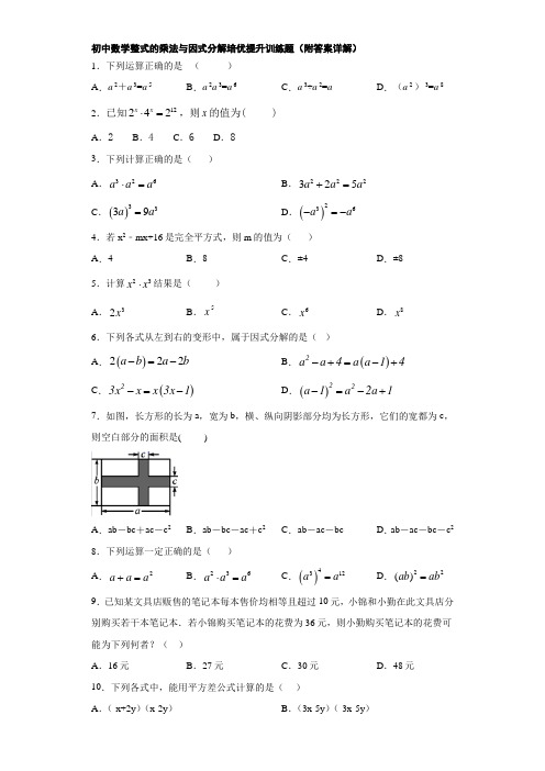 初中数学整式的乘法与因式分解培优提升训练题(附答案详解)