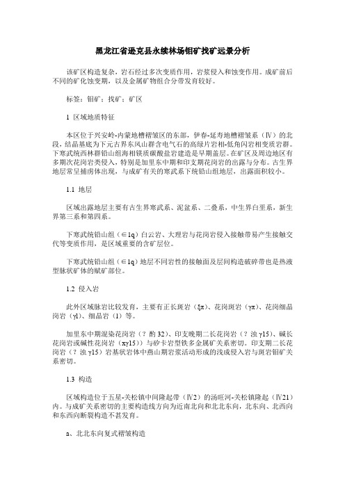 黑龙江省逊克县永续林场钼矿找矿远景分析