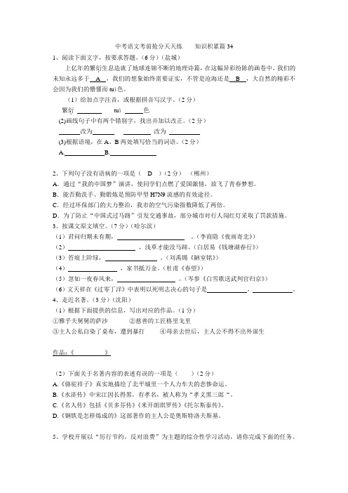 中考语文考前抢分天天练34