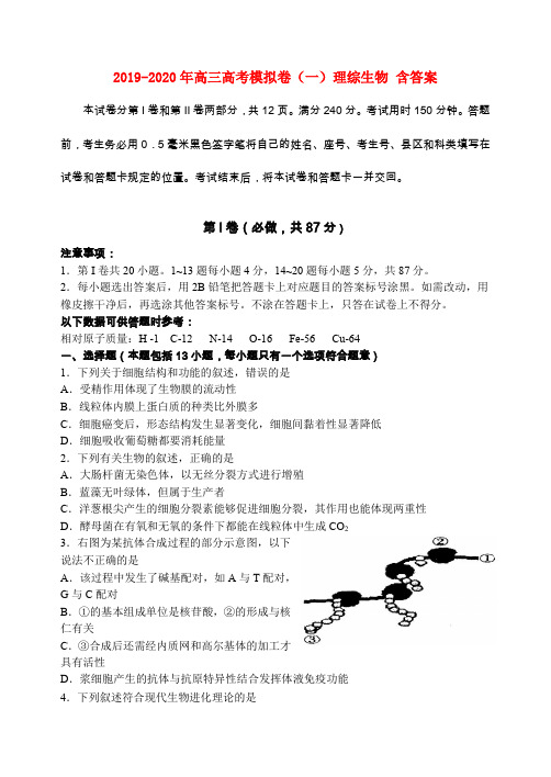 2019-2020年高三高考模拟卷(一)理综生物 含答案