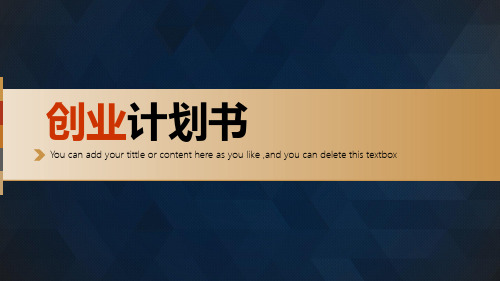 创业计划书PPT模板