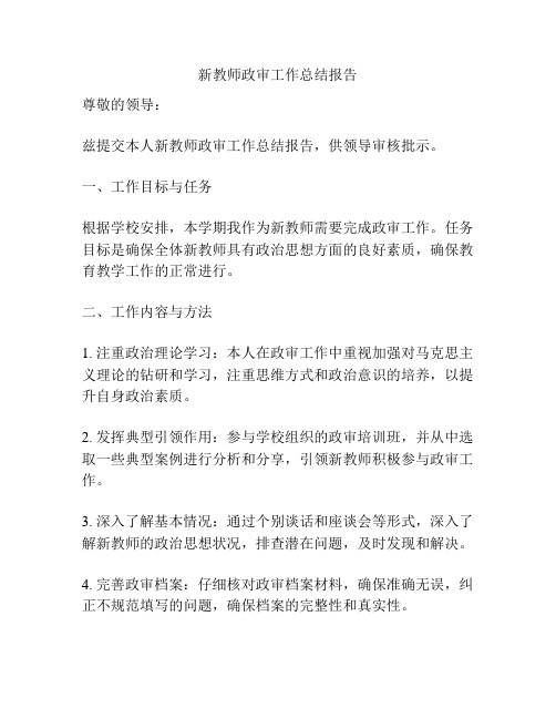 新教师政审工作总结报告