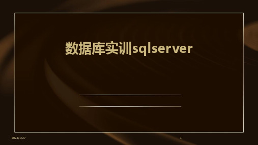 数据库实训sqlserver(2024)