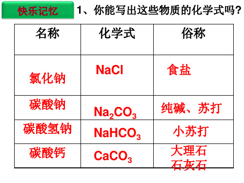 盐的化学性质(2014公开课课件)