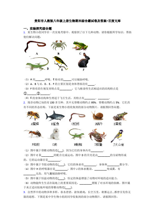 贵阳市人教版八年级上册生物期末综合题试卷及答案-百度文库