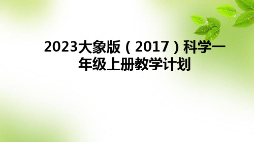 2023大象版(2017)科学一年级上册教学计划