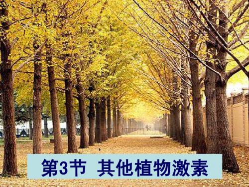 其他植物激素
