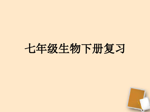 新人教版七年级生物下册复习课件共60张PPT  公开课一等奖 课件