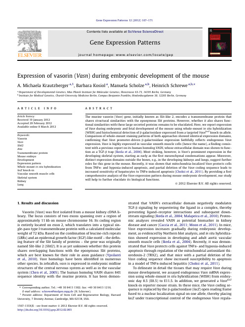 Expression of vasorin (Vasn) during embryonic development of the mouse