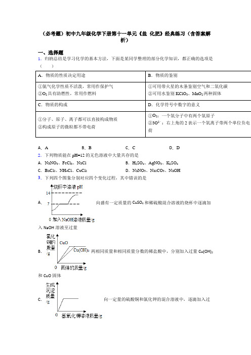 (必考题)初中九年级化学下册第十一单元《盐 化肥》经典练习(含答案解析)