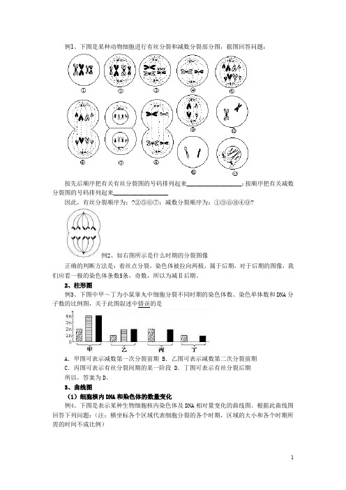 高中生物 有丝分裂和减数分裂 综合提高题与答案