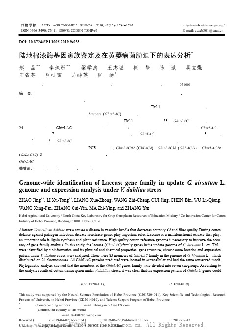 陆地棉漆酶基因家族鉴定及在黄萎病菌胁迫下的表达分析