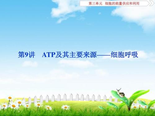 2019高考生物一轮复习课件：9讲ATP及其主要来源——细胞呼吸