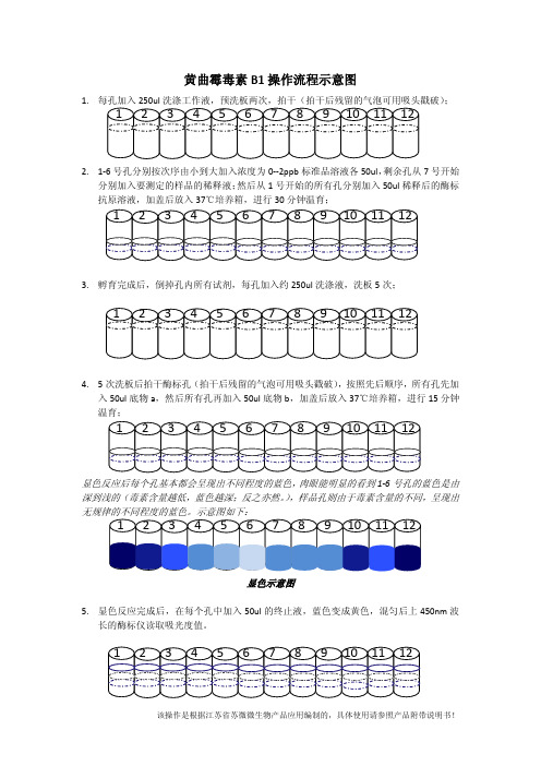 黄曲霉毒素B1试剂盒操作流程图