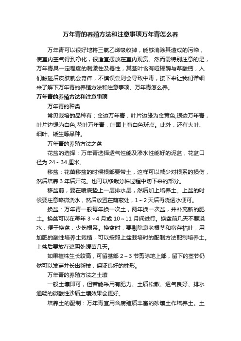 万年青的养殖方法和注意事项万年青怎么养